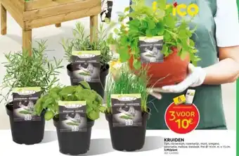 Brico KRUIDEN aanbieding