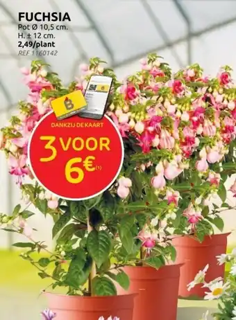 Brico FUCHSIA aanbieding