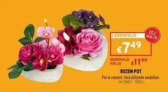Trafic Rozen pot aanbieding
