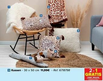 Carrefour Kussen aanbieding