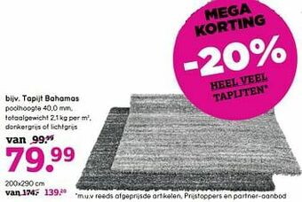 Leen Bakker Tapijt bahamas aanbieding