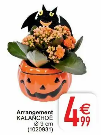 Cora Arrangement kalanchoë aanbieding
