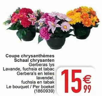 Coupe chrysanthèmes schaal chrysanten