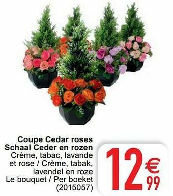 Cora Coupe cedar roses schaal ceder en rozen aanbieding