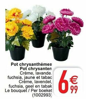 Pot chrysanthèmes pot chrysanten