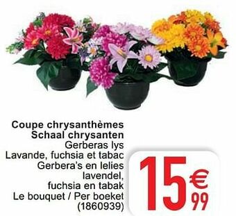 Cora Coupe chrysanthèmes schaal chrysanten aanbieding
