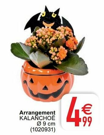 Arrangement kalanchoë