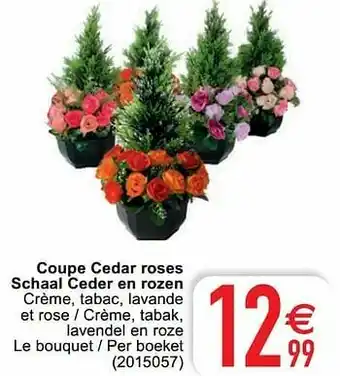 Coupe cedar roses schaal ceder en rozen