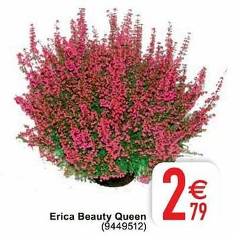 Cora Erica beauty queen aanbieding