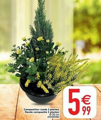 Cora Composition ronde 3 plantes ronde compositie 3 planten aanbieding