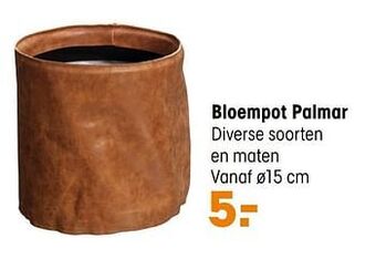 Kwantum Bloempot palmar aanbieding