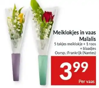 Intermarché Meiklokjes in vaas Maïalis aanbieding