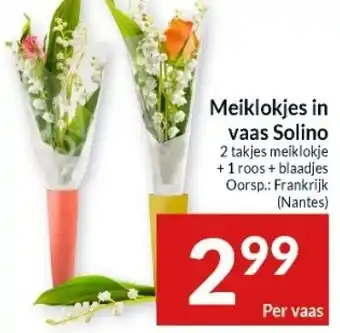 Meiklokjes in vaas Solino