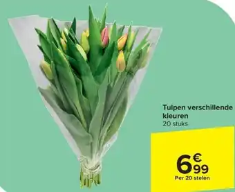 Carrefour Tulpen verschillende kleuren aanbieding