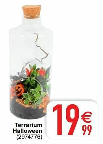 Cora Terrarium halloween aanbieding