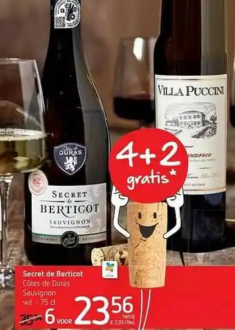 Secret de berticot côtes de duras sauvignon wit