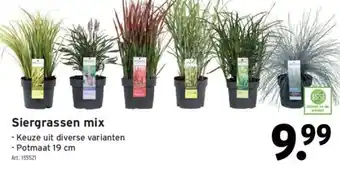 GAMMA Siergrassen mix aanbieding