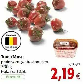 Toma`muse pruimvormige trostomaten