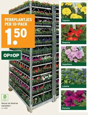 GAMMA Keuze uit diverse planten aanbieding