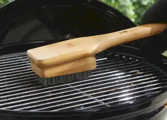 Bamboehouten Borstel