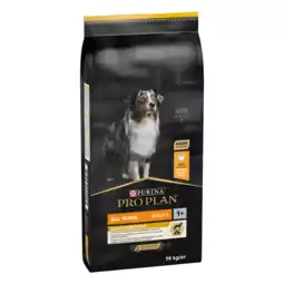 Droogvoer voor honden voor gewichtsverlies
