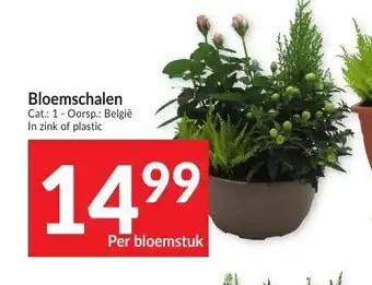 Intermarché Bloemschalen per Bloemstuk aanbieding