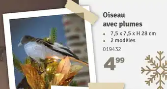Oiseau avec plumes