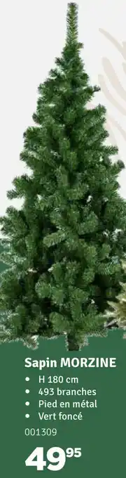 Sapin Morzine