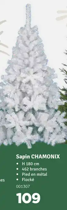 Sapin Chamonix