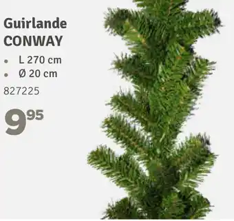 Guirlande Conway