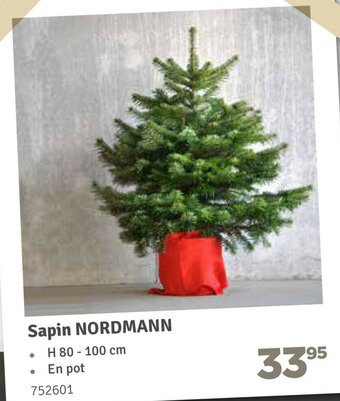 Mr Bricolage Sapin Nordmann aanbieding