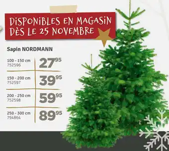 Mr Bricolage Sapin Nordmann aanbieding