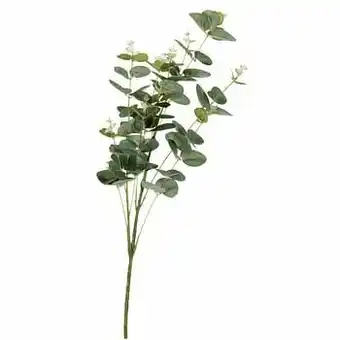 Kwantum Kunstbloem Eucalyptus Groen aanbieding