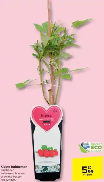 Carrefour Kleine fruitbomen aanbieding