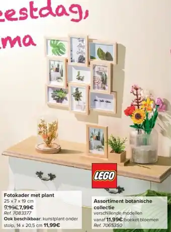 Carrefour Fotokader met plant aanbieding