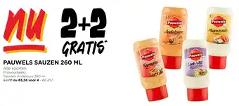 Jumbo PAUWELS SAUZEN 260mL aanbieding