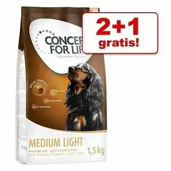 Zooplus 2 + 1 gratis! 3 x 1,5 kg Concept for Life Hondenvoer - X-Large Adult aanbieding