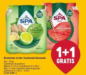 Delhaize Bruisende of niet-bruisende limonade aanbieding