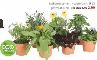 Intratuin Eetbare bloemen. aanbieding