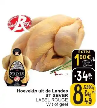 Cora Hoevekip uit de Landes ST SEVER aanbieding