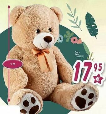 Cora Ours beer aanbieding