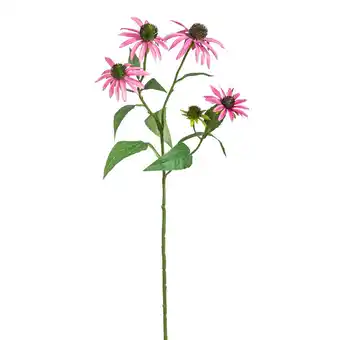 Leen Bakker Kunstbloem Rudbeckia - roze - 73 cm aanbieding