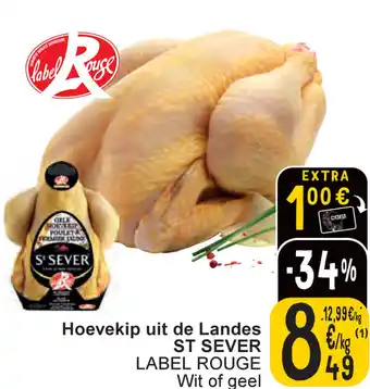 Cora Hoevekip uit de Landes ST SEVER aanbieding