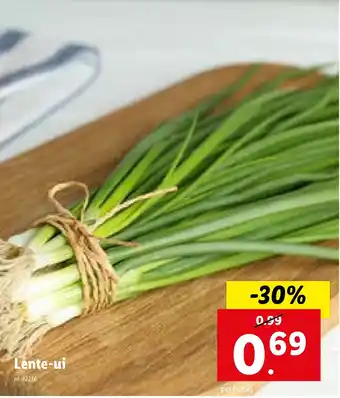 Lidl Lente-ui aanbieding