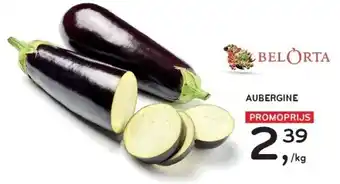 Alvo AUBERGINE aanbieding