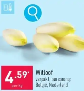 ALDI Witloof aanbieding