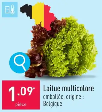 ALDI Laitue multicolore aanbieding