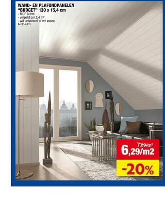 Hubo Wand-en Plafondpanelen Budget aanbieding