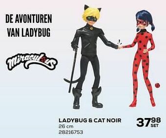 Ladybug + cat noir
