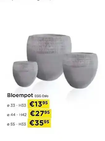 Molecule Bloempot aanbieding